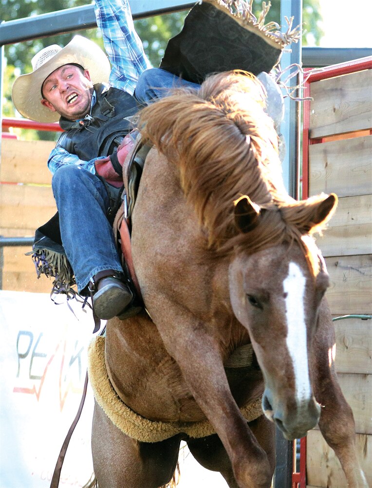 Thousands attend Freedom Rodeo The Odessa Record